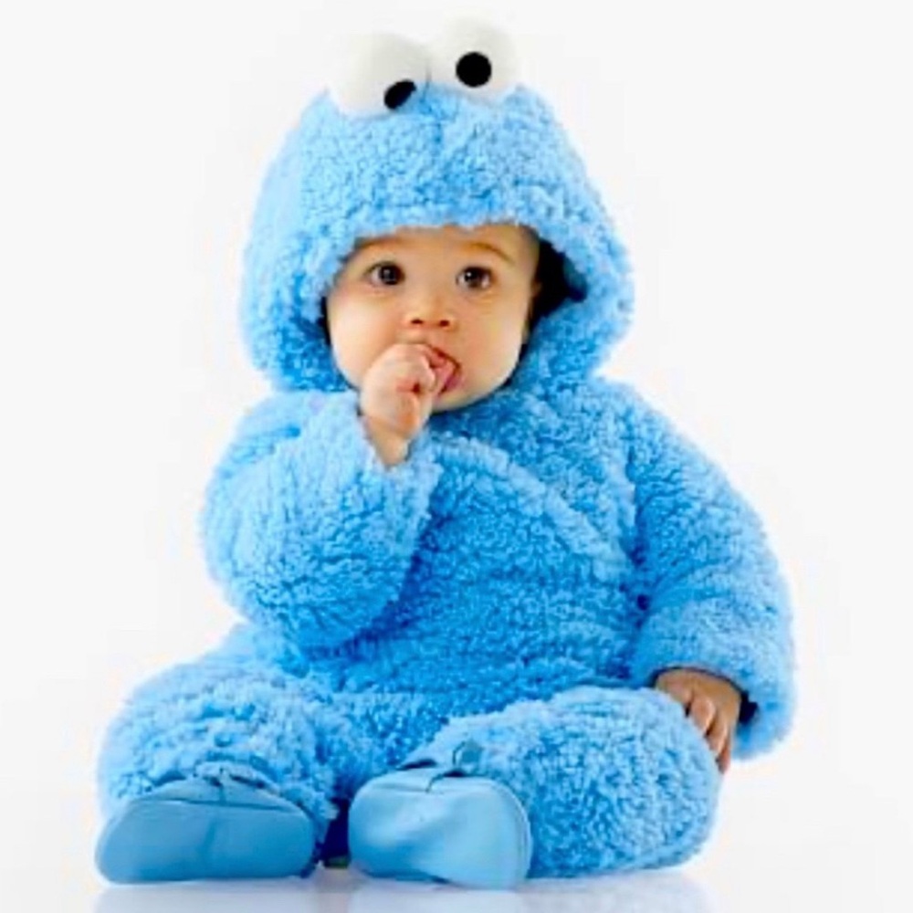 Pottery Barn Plush Pottery Barn Sesame Street Cookie Monster 1pc Costume 6-12 M